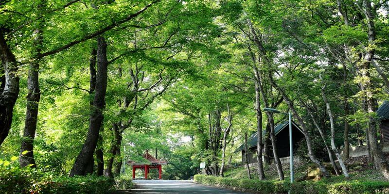 台中天氣——春季（3月，4月，5月）