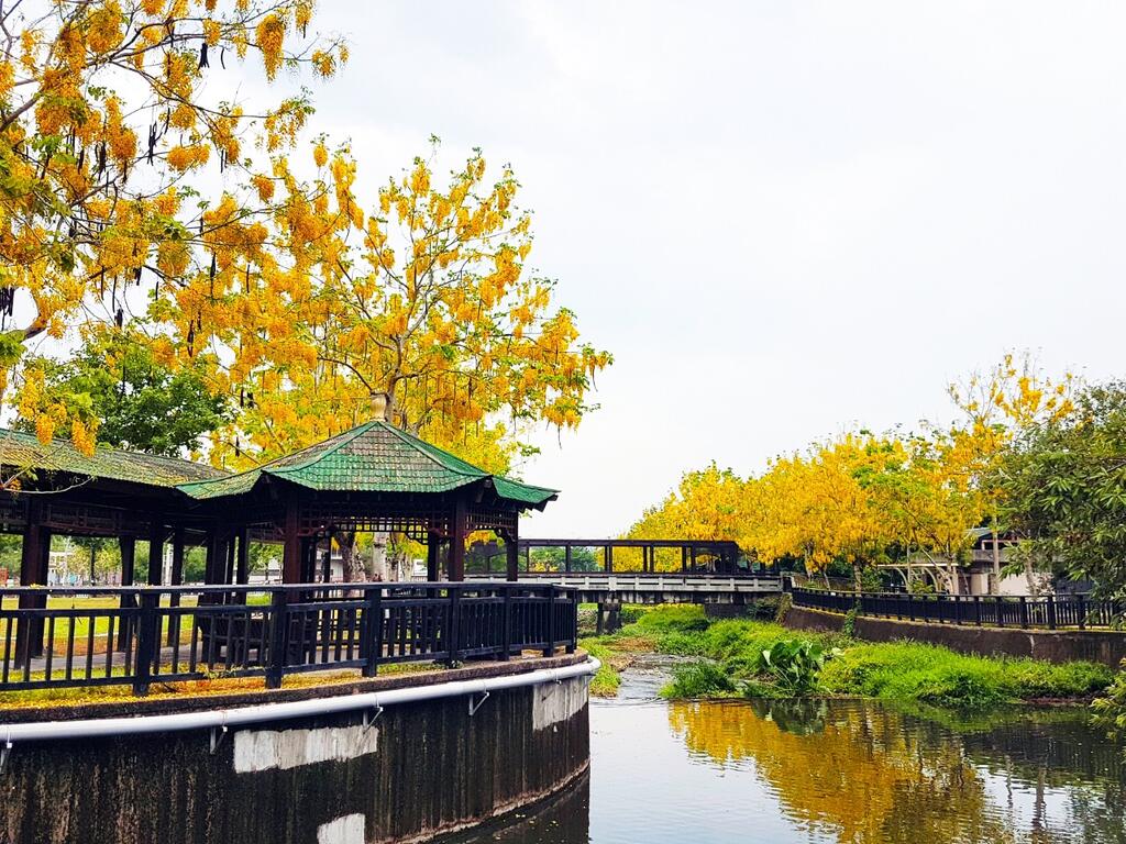 台中天氣——夏季（6月，7月，8月）