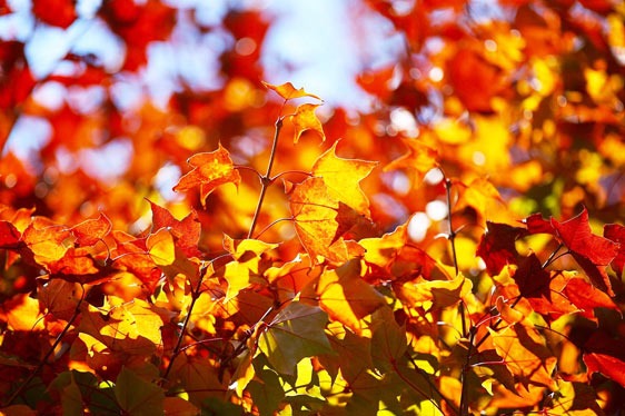 九寨溝天氣——秋季（9月，10月，11月）