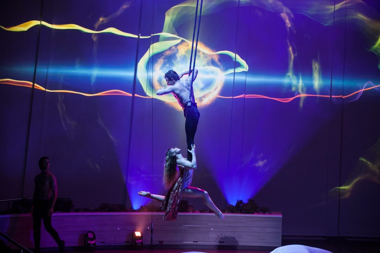 海洋量子號上的每場表演都旨在令人眼花繚亂。原創作品《星水》以現場表演和技術的突破性融合，深入探討了人類情感的本質。在《索尼克奧德賽》中，音樂、表演、藝術和創新相結合，帶來身臨其境的舞台體驗。