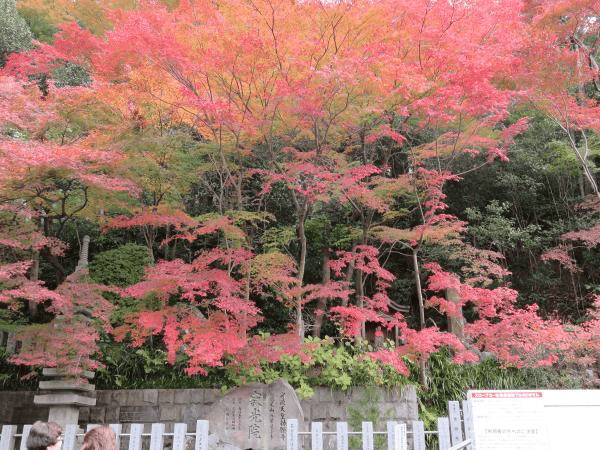 名古屋天氣——秋季（9月，10月，11月）