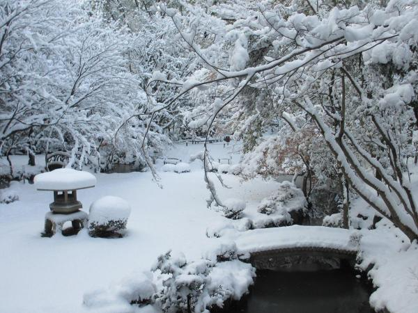 名古屋天氣——冬季（12月，1月，2月）