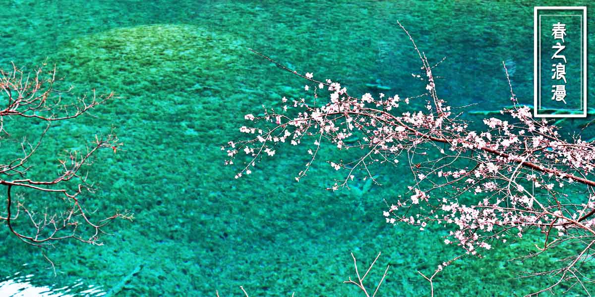 春之浪漫（3月，4月，5月）