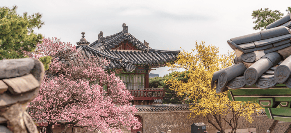 首爾天氣——春季（3月，4月，5月）