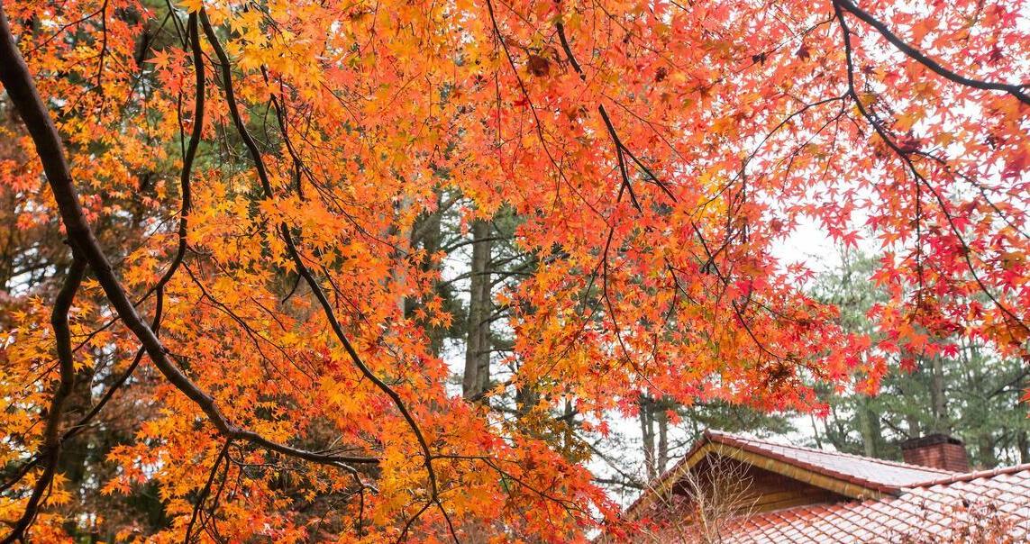 台中天氣——秋季（9月，10月，11月）