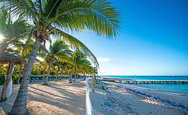 加勒比海與巴哈馬群島