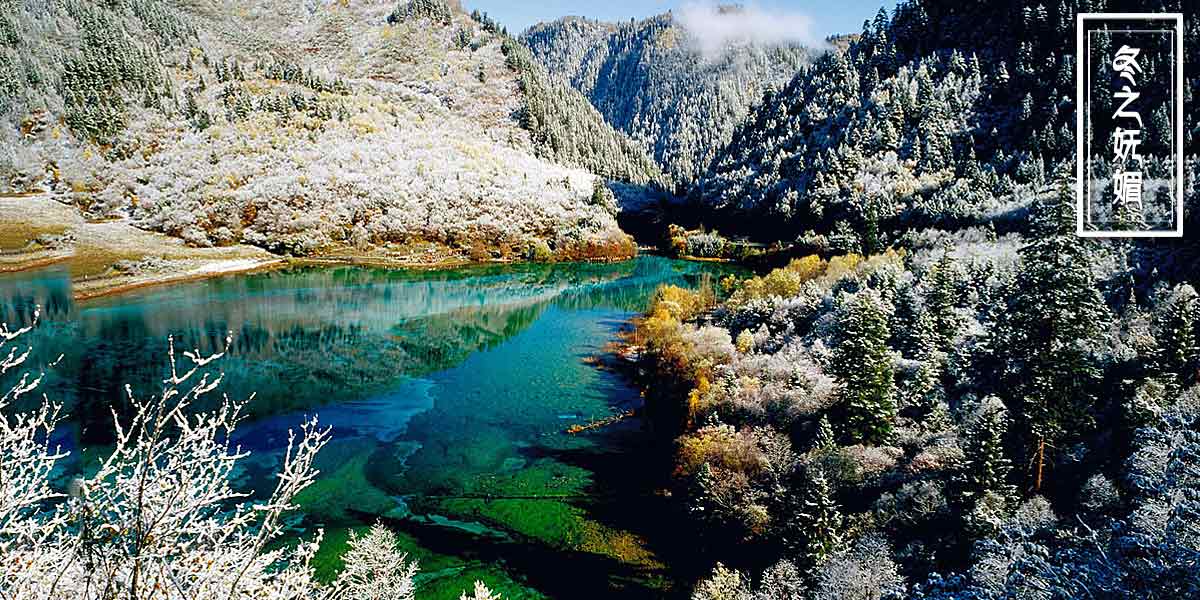 冬之嫵媚（12月，1月，2月）