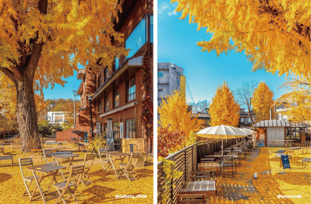 首爾天氣——秋季（9月，10月，11月）