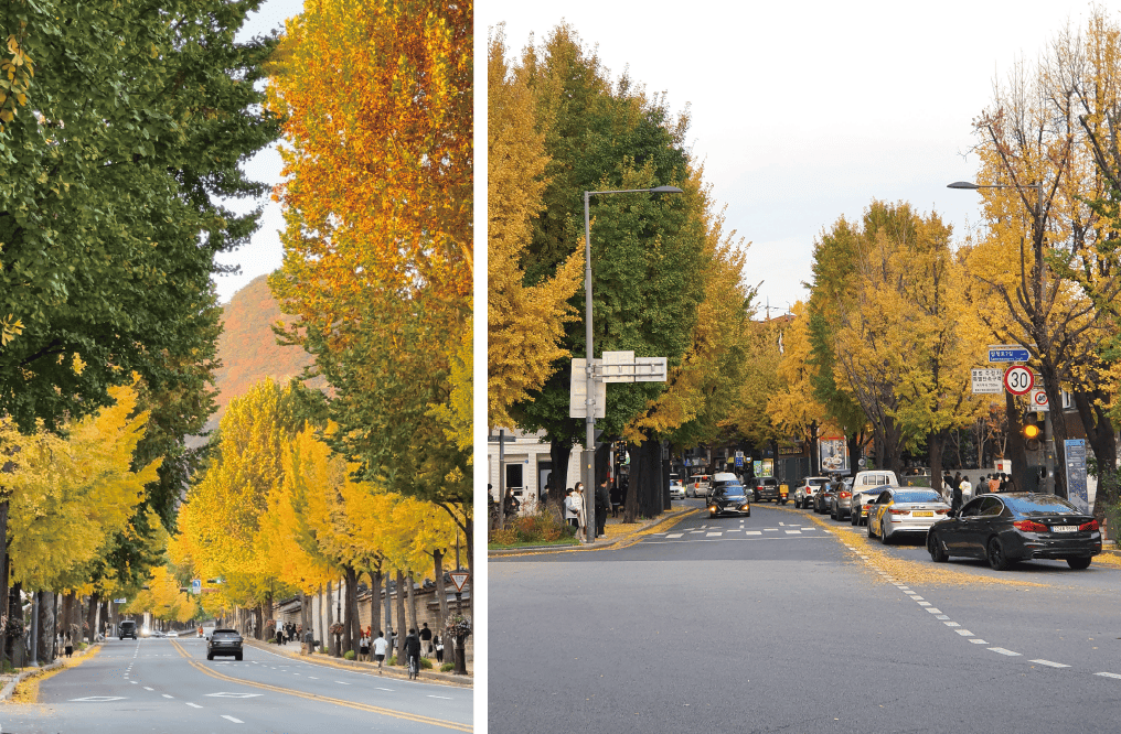 首爾天氣——秋季（9月，10月，11月）