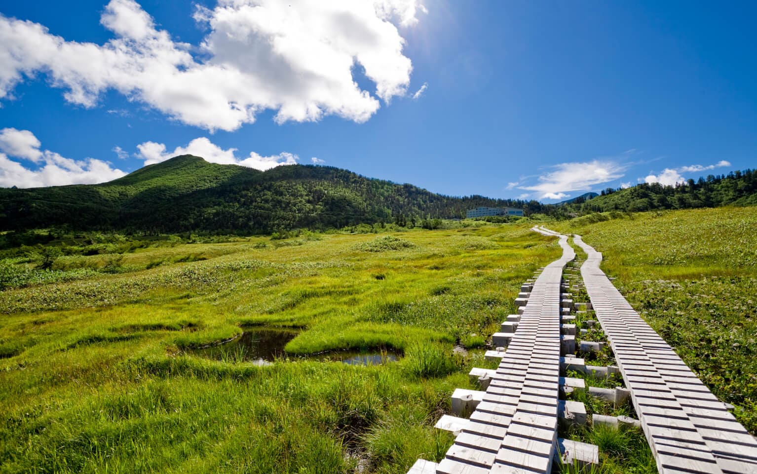 立山黑部天氣——夏季（7月，8月）