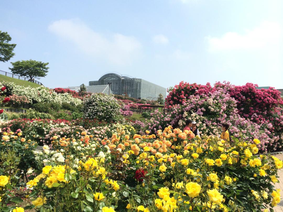 福岡天氣——春季（3月，4月，5月）