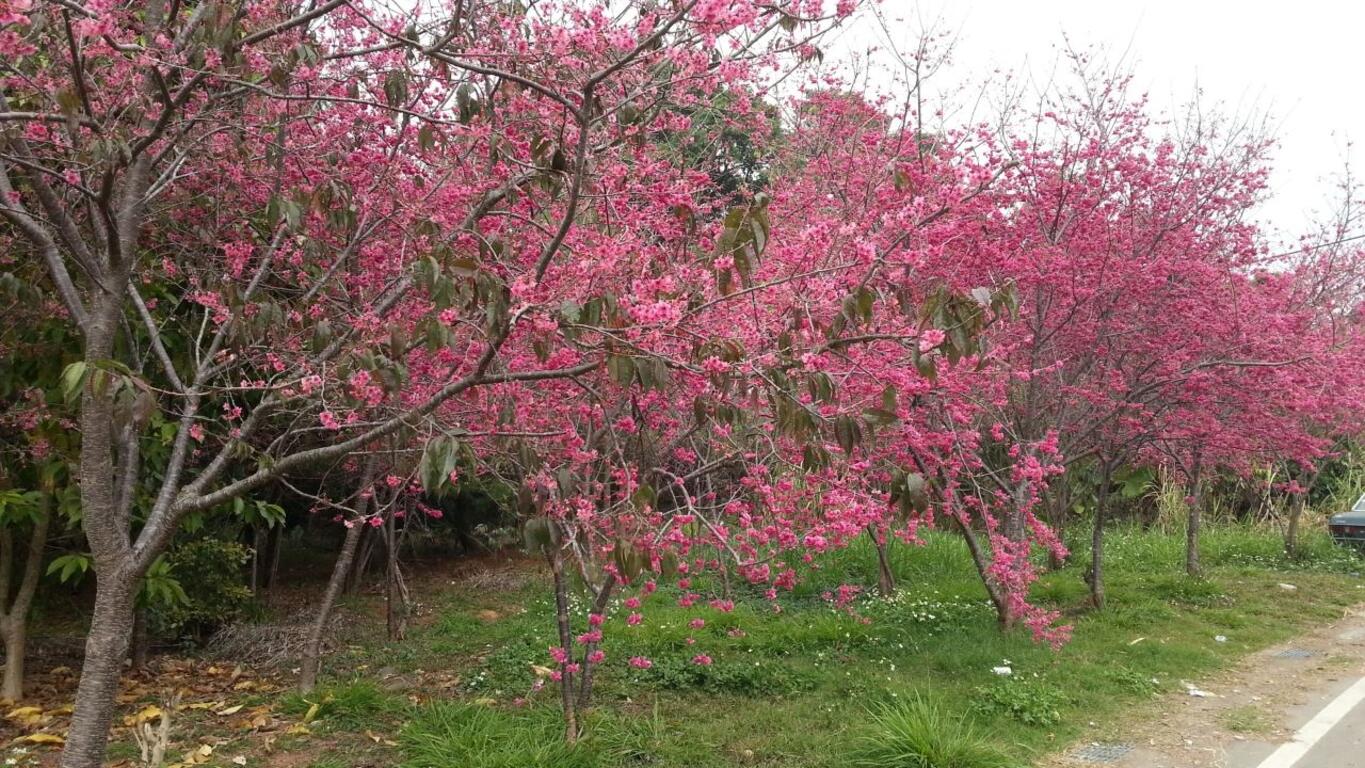 台中天氣——春季（3月，4月，5月）